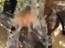 Ten's Barrett takes the Ice Bucket Challenge, calls on MediCom's Pejic to step up